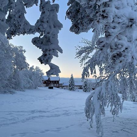 Gemuetliche Ferienwohnung Harz Braunlage Hohegeiss エクステリア 写真