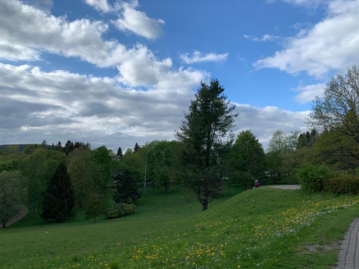 Gemuetliche Ferienwohnung Harz Braunlage Hohegeiss エクステリア 写真