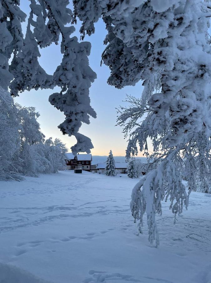 Gemuetliche Ferienwohnung Harz Braunlage Hohegeiss エクステリア 写真