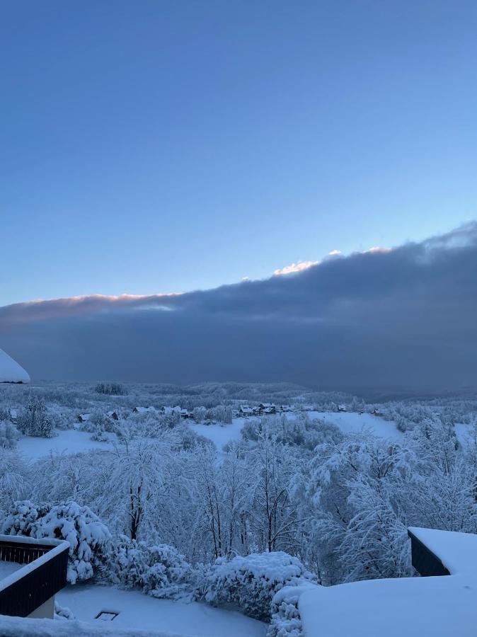Gemuetliche Ferienwohnung Harz Braunlage Hohegeiss エクステリア 写真