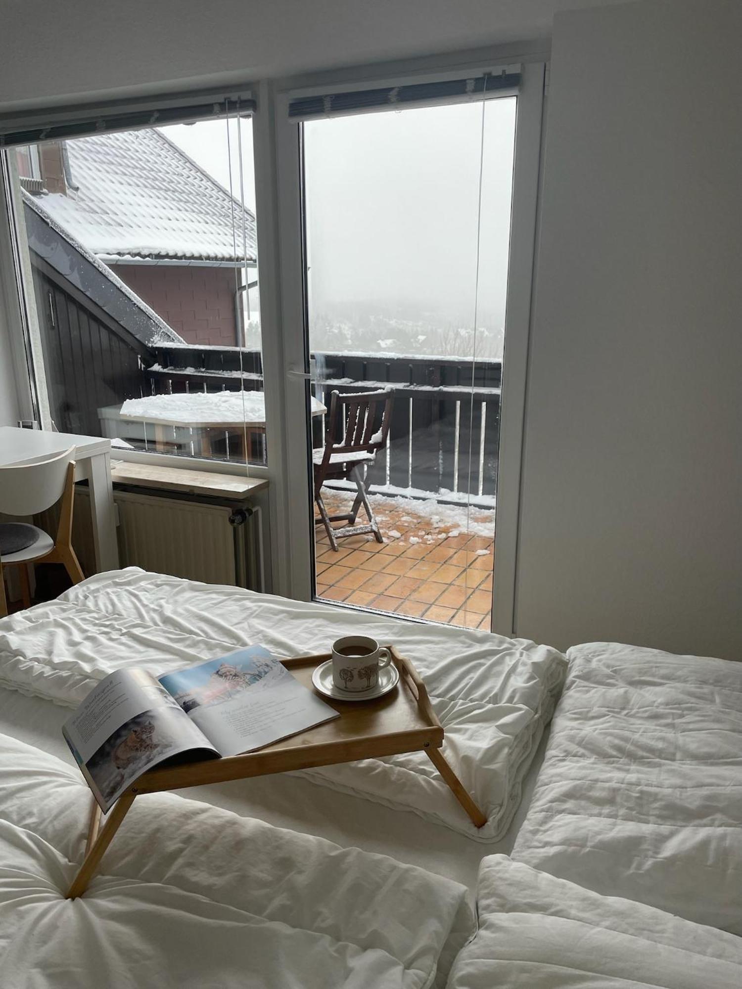Gemuetliche Ferienwohnung Harz Braunlage Hohegeiss エクステリア 写真